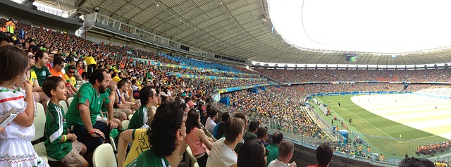 约基奇展现